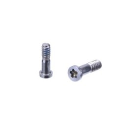 Conjunto de 2 tornillos inferiores plateados pentagonales para iPhone 8 PLUS