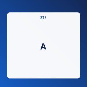 AXON
