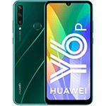 Y6P 2020