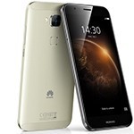 GX8
